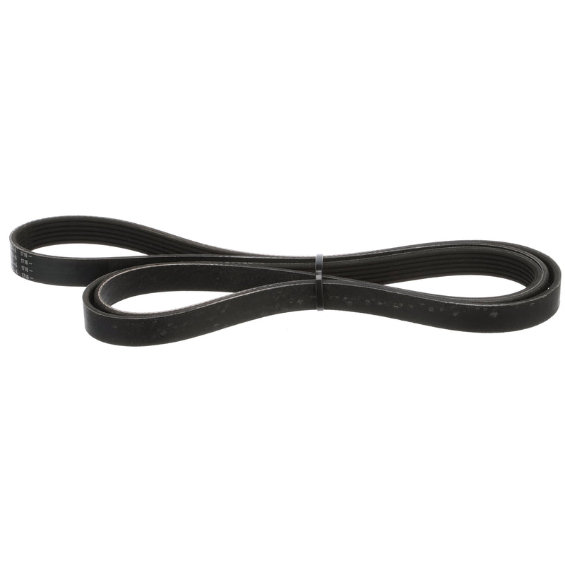 Quicksilver Serpentine Belt 807755A04 - 2,240 mm Long - 807755Q04