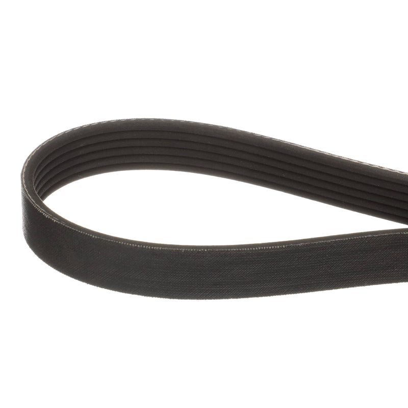 Quicksilver Serpentine Belt 807755A04 - 2,240 mm Long - 807755Q04